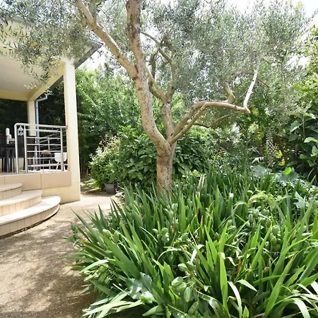 Holiday home House With Garden 