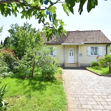 House With Garden 