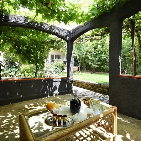 House With Garden 