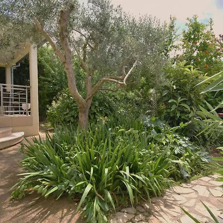 Сasa de vacaciones House With Garden 